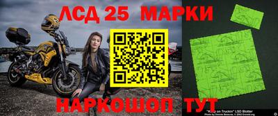 гидропоника Будённовск