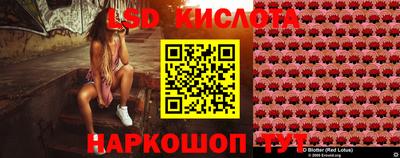 гидропоника Будённовск
