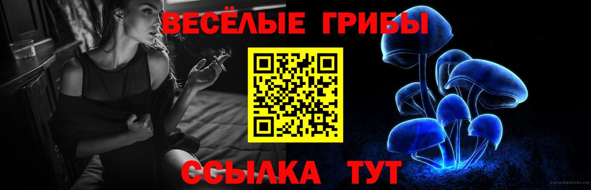 Псилоцибиновые грибы Magic Shrooms  Вход с VPN  Псилоцибиновые грибы Cubensis  Тихвин 